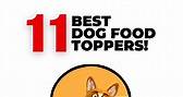 The Best Dog Food Toppers for Picky Eaters!