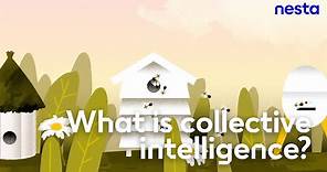 What is collective intelligence? | Nesta