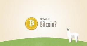 What is Bitcoin? (v1)