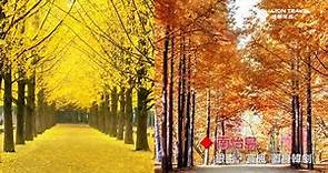 秋季賞楓哪裡去 韓國處處美麗楓紅