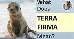 What is the Meaning of TERRA FIRMA? (3 Illustrated Examples)