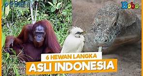 Fakta Menarik - 6 Hewan Langka Asli Indonesia