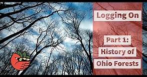 Logging On Part 1: The History of Ohio Forests