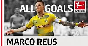 Marco Reus - All Goals 2017/18