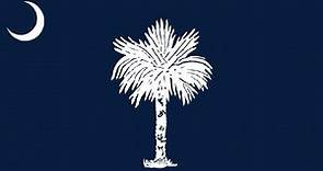 New South Carolina state flag designs released