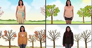 用英文認識春、夏、秋、冬！(Let's Learn About the Four Seasons - Spring, Summer, Fall, and Winter) - VoiceTube 看影片學英語
