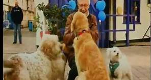 Paul O'Grady: For The Love Of Dogs