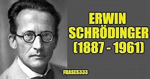 ¿Quién fue Erwin Schrödinger? ¿Qué descubrió Erwin Schrödinger?