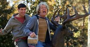 Watch Dumb and Dumber Full Movie Online - Video Dailymotion