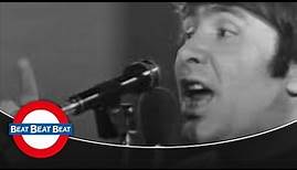 The Troggs - With A Girl Like You (1967)