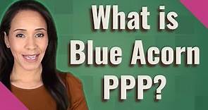 What is Blue Acorn PPP?