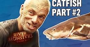 Best Of Catfish! #2 | COMPILATION | River Monsters