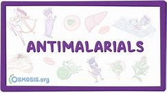 Antimalarials: Video, Anatomy, Definition & Function | Osmosis