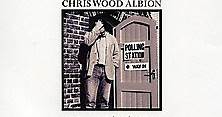 Chris Wood - Albion