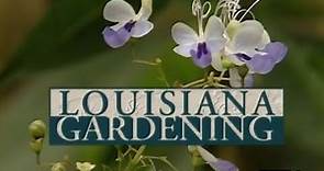 Louisiana Gardening | 2001