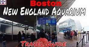 Boston - New England Aquarium - Helpful Information for Visitors | Boston Travel Episode# 5