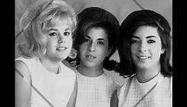 60's Girl Group The Honeys ~ The One You Can't Have