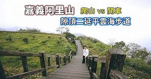 嘉義阿里山隙頂二延平步道，想看雲海就看你的運氣好不好！而且這裡竟然可以開車上來