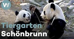 Tiergarten Schönbrunn - Ausflug in den ältesten Zoo der Welt (Dokumentation, 2013)