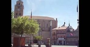 Medina del Campo - Flags of Castilla y León and European Union