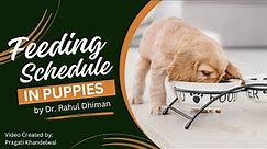 FEEDING SCHEDULE for PUPPY | Part: 2 An ultimate feeding guide for puppies