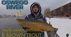 Fishing the oswego River for Walleye, Brown Trout and Steelhead 2