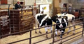 Buying and Selling at Livestock Auctions