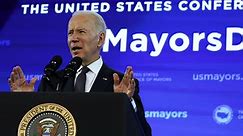 Biden admits 'firm decision' on whether he'll run again 'remains to be seen'