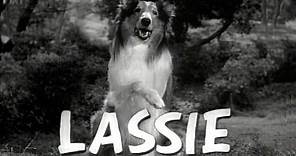 Lassie 1954 - 1973 Opening and Closing Theme (With the Lone Ranger Snippet)