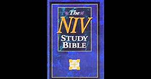 The Book of Esther (NIV Audio Bible Non Dramatized)