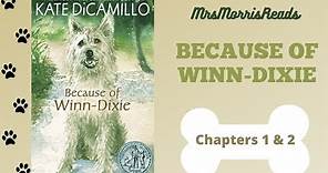 BECAUSE OF WINN-DIXIE Chapters 1 & 2 Read Aloud