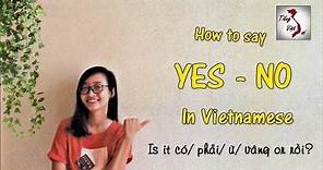 Learn Vietnamese with TVO | YES/NO in Vietnamese