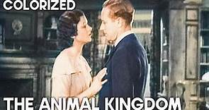 The Animal Kingdom | COLORIZED | Ann Harding | Classic Romantic Movie