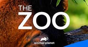 The Zoo: Season 4 Episode 1 A New Beginning