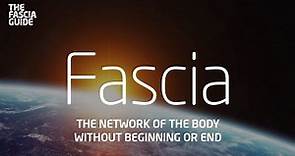 Fascia Documentary: The network of the body without beginning or end
