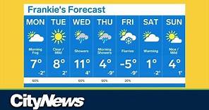 Toronto's weather forecast for the week