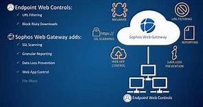 Why you need Sophos Web Gateway to protect your business