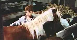 The Red Pony - (Original Trailer) mit Peter Miles - 1949