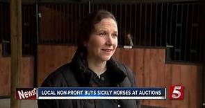 Two dozen horses rescued from Tennessee auction
