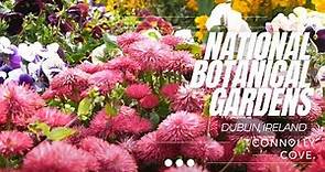 National Botanic Gardens | Dublin | Ireland | Botanic Gardens | Things to do in Dublin | Glasnevin