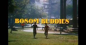 Bosom Buddies Season 2 Opening and Closing Credits and Theme Song