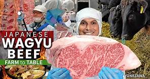 How Japanese Wagyu Beef is Graded | Farm to Table ★ ONLY in JAPAN