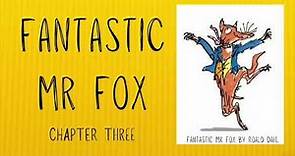 Fantastic Mr Fox by Roald Dahl | Read aloud full audiobook story kids