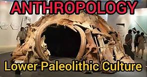Lower paleolithic culture//Anthropology