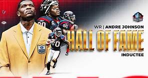 Andre Johnson is in the Pro Football Hall of Fame Class of 2024