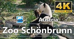 Zoo Schönbrunn, Vienna, Austria ► Travel Video, 4K ► Travel in Austria #TouchOfWorld