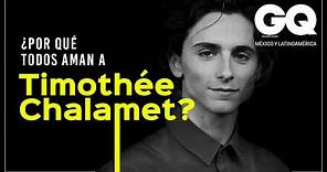 ¿Por qué todos aman a Timothée Chalamet?