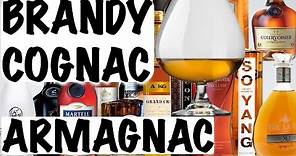 Cognac, Brandy and Armagnac - Alcohol 101