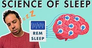Sleep Stages, Sleep Cycle, and the Biology of Sleep