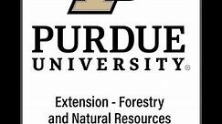 New Video! Tree Pruning Essentials | Purdue Extension Forestry & Natural Resources